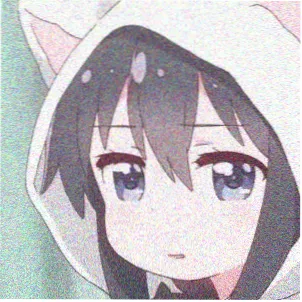 观众风见的头像